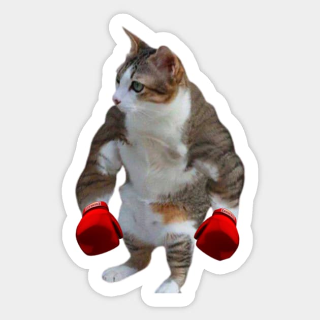 cat shitpost meme, funny memes Sticker by Tee Shop